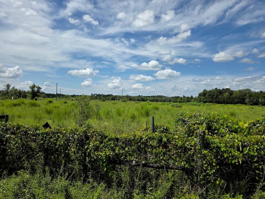 Property photo for 2351 NE HIGHWAY 41, Williston, FL
