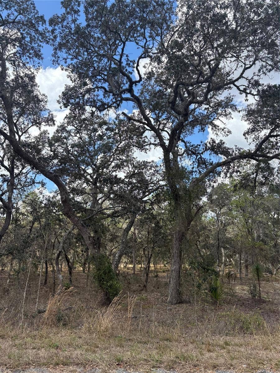 Property photo for TBA SE 131ST TERRACE, Dunnellon, FL