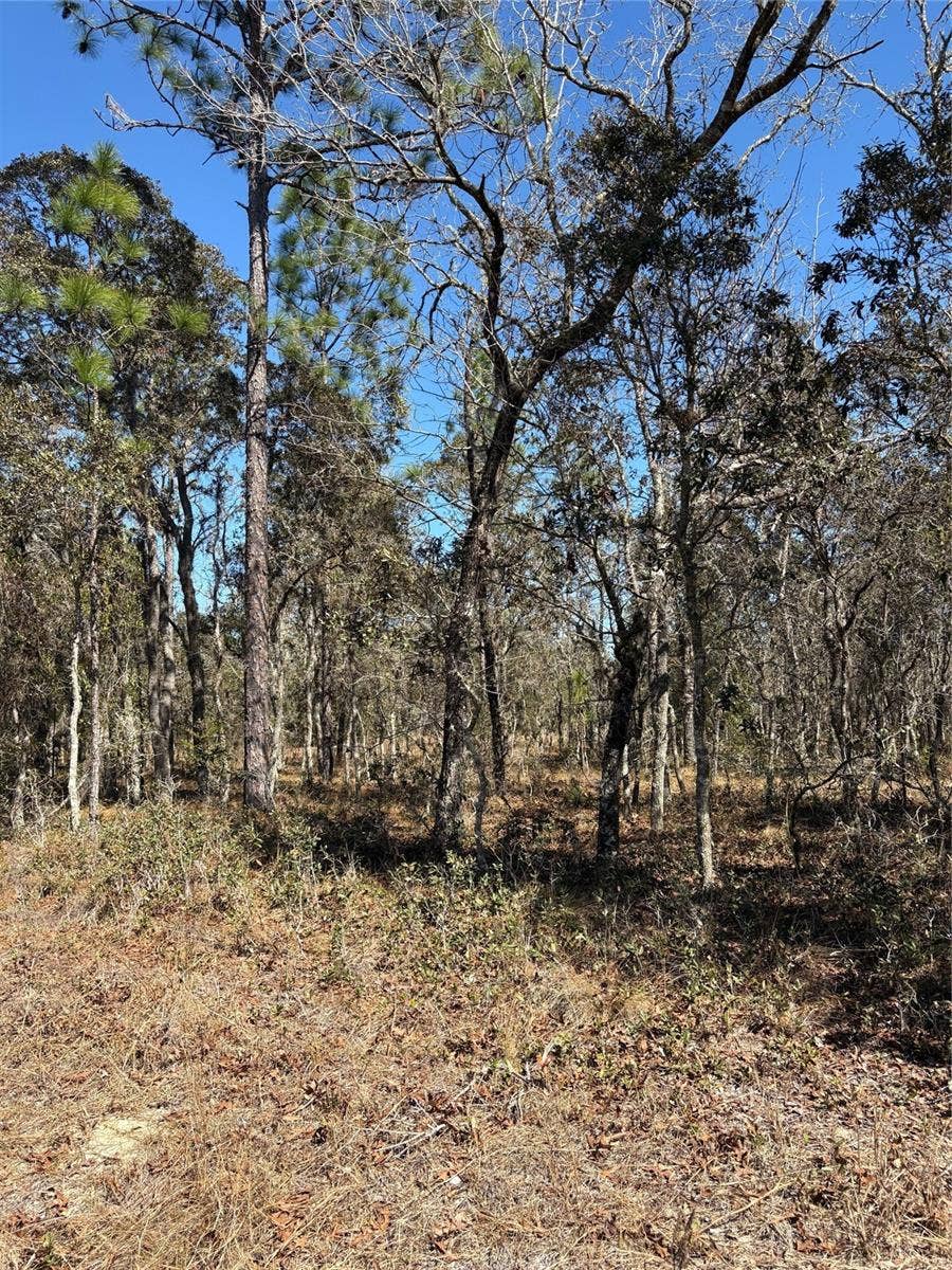 Property photo for TBA SE 135TH COURT, Dunnellon, FL