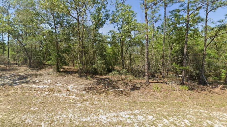 Property photo for 00 SW RAINBOW LAKES BOULEVARD, Dunnellon, FL