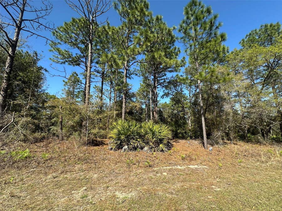 Property photo for 833 W CHAMPLAIN LANE, Citrus Springs, FL