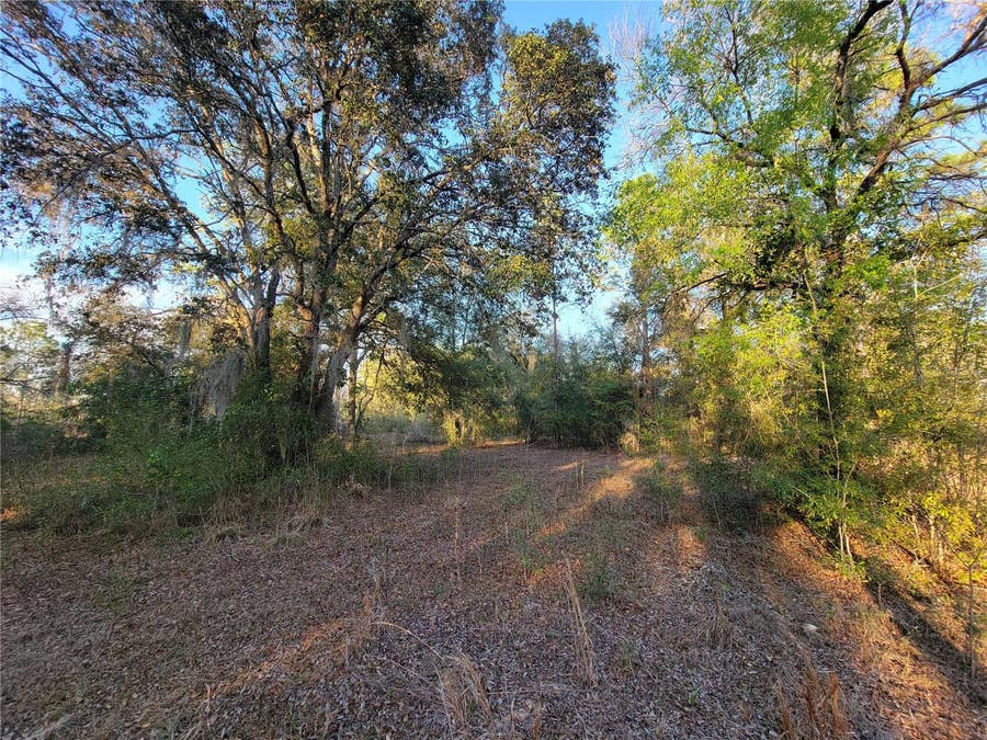 Property photo for 0 NE 20TH STREET, Williston, FL