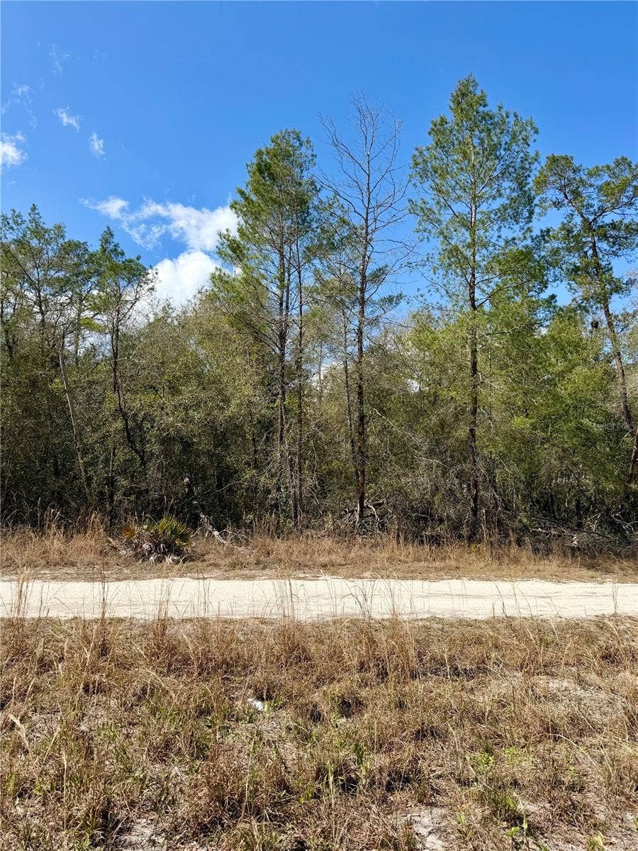 Property photo for TBD NE 110TH COURT, Fort Mc Coy, FL
