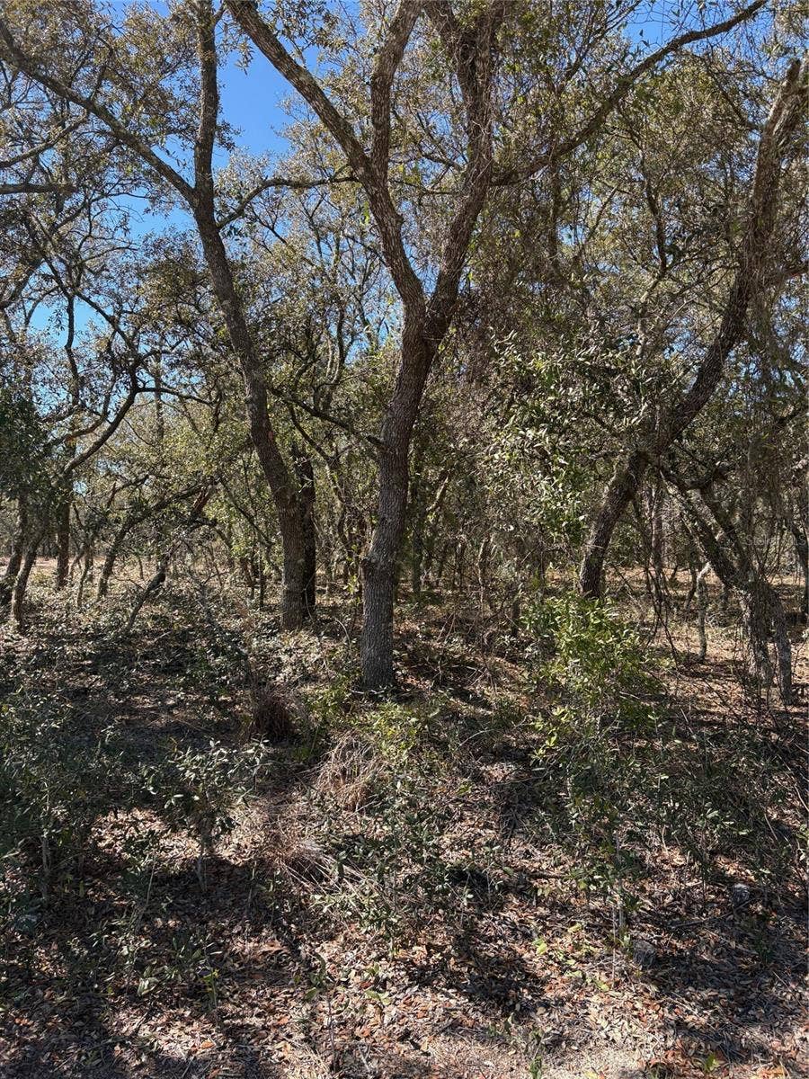 Property photo for TBA SE SE 132ND COURT COURT, Dunnellon, FL