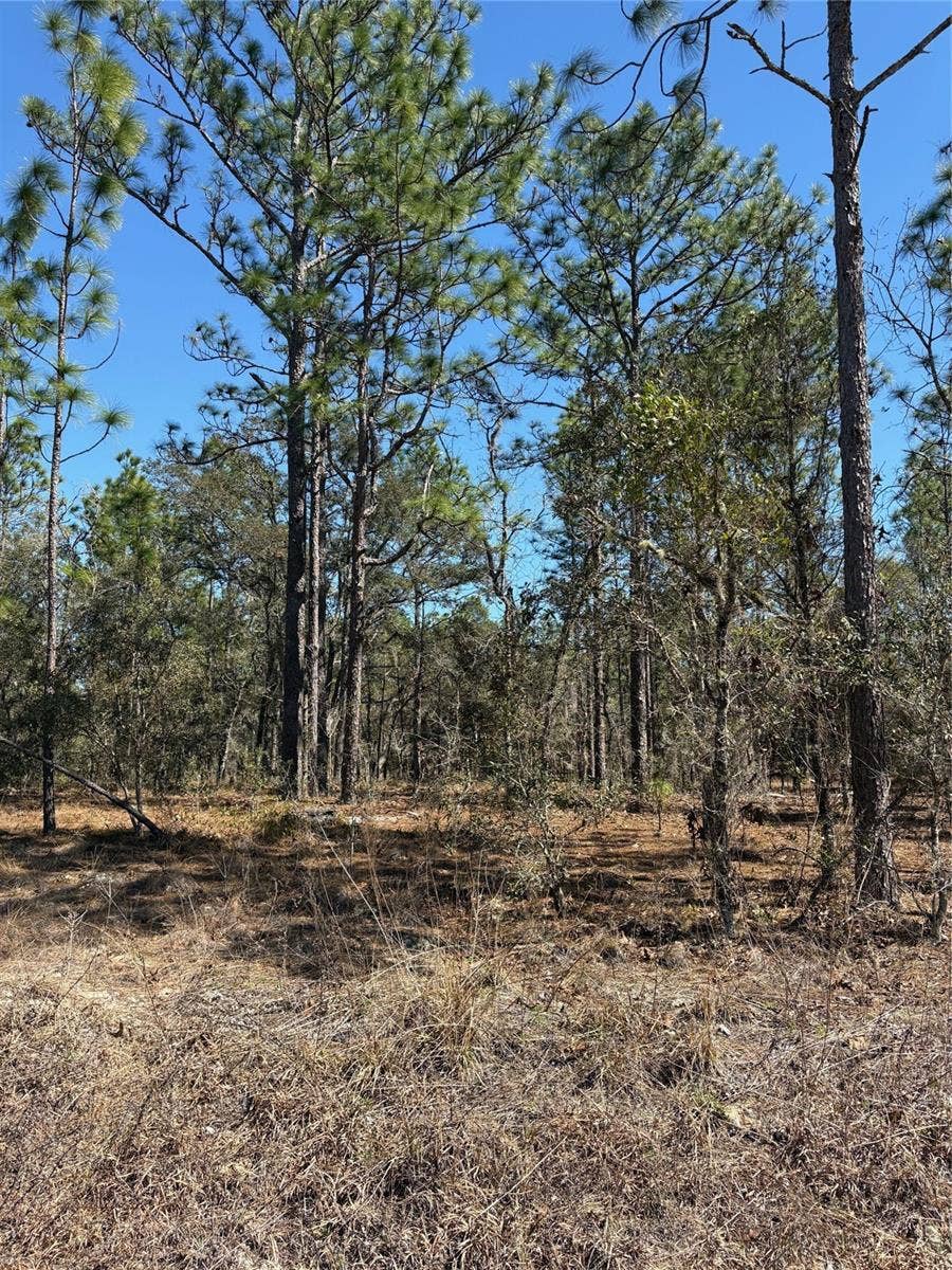 Property photo for TBA SE 135TH COURT, Dunnellon, FL