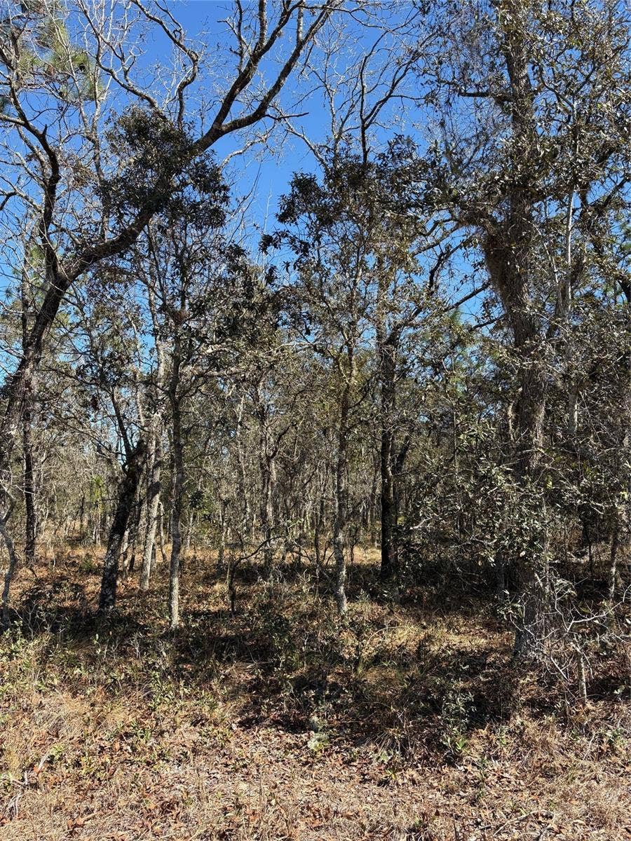 Property photo for TBA SE 134TH TERRACE TERRACE, Dunnellon, FL