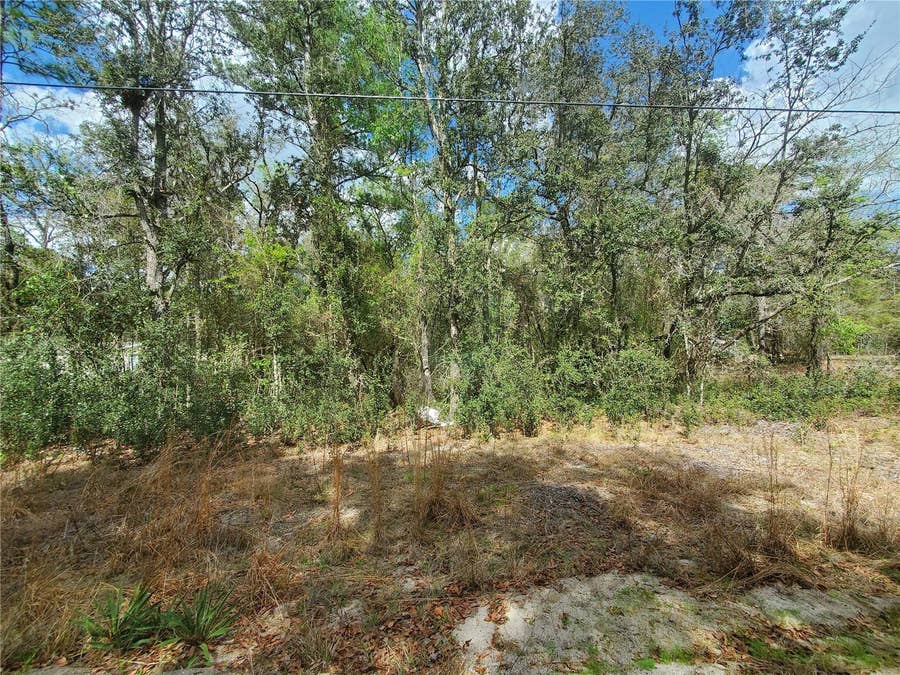 Property photo for NE 172ND PL LOT 11, Fort Mc Coy, FL