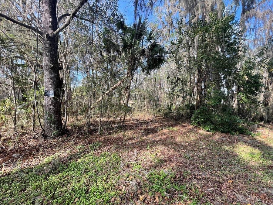 Property photo for TBD SE 40TH LOOP, LOT 1, Ocala, FL
