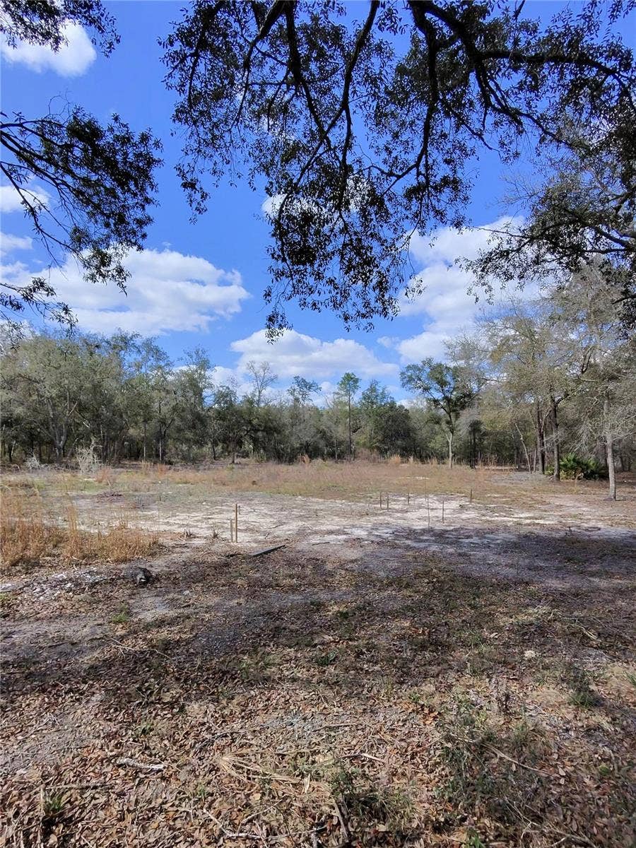 Property photo for TBD NE 96TH STREET, Archer, FL