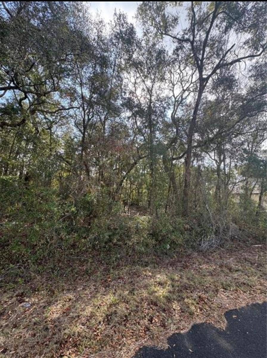 Property photo for TBD LOCUST LOOP TERRACE, Ocala, FL