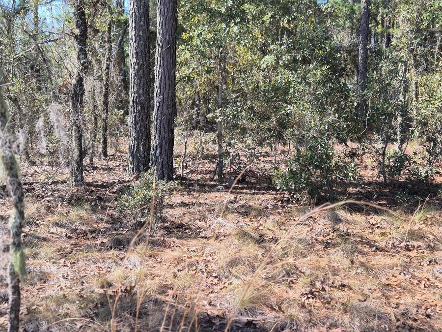Property photo for 00 NE 137TH AVENUE, Williston, FL