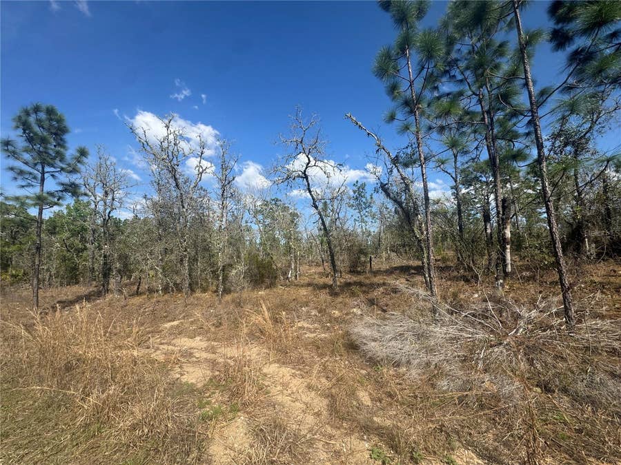Property photo for tbd NE 155TH AVENUE, Williston, FL