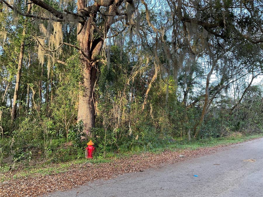 Property photo for TBD NW 45TH STREET, Ocala, FL