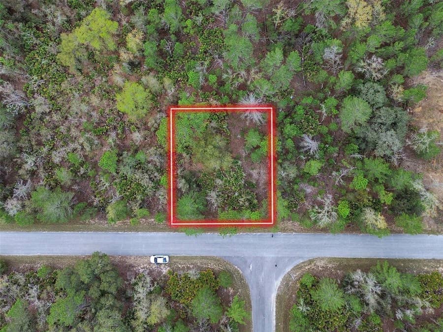 Property photo for TBD MALAUKA LANE, Ocklawaha, FL