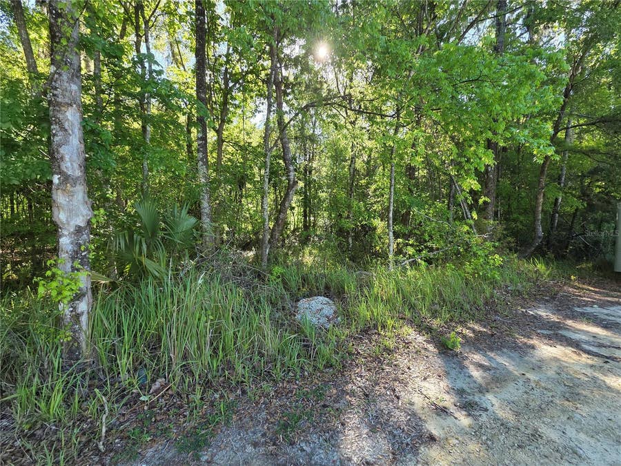 Property photo for 0000 SE 42ND COURT, Belleview, FL