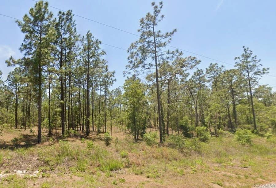 Property photo for 0 NW WATER OAK, #5, Dunnellon, FL