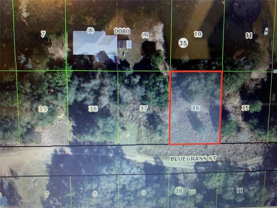 Property photo for 2406 BLUEGRASS STREET, Inverness, FL