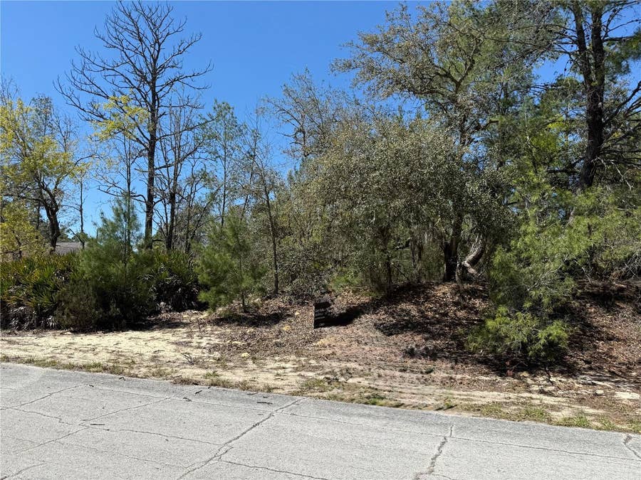 Property photo for 10762 N MORENO DRIVE, Dunnellon, FL