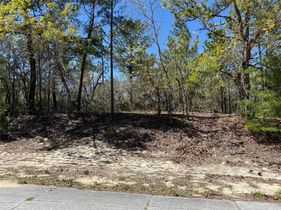 Property photo for 10776 N MORENO DRIVE, Dunnellon, FL