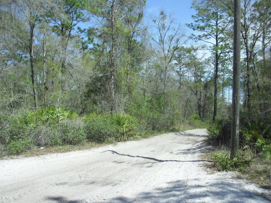 Property photo for Tract 418 SW 158TH LANE, Dunnellon, FL