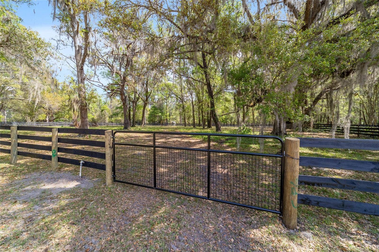16638 N HIGHWAY 329, Reddick, FL 32686 16638 N HIGHWAY 329, Reddick, FL 32686