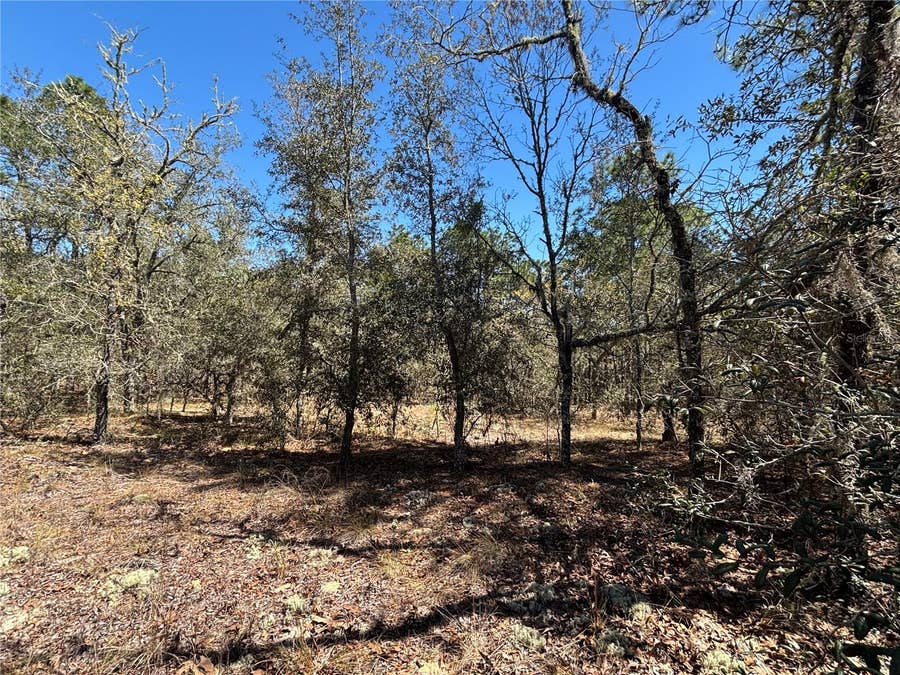 Property photo for 0000 SW HILLCREST AVENUE, Dunnellon, FL