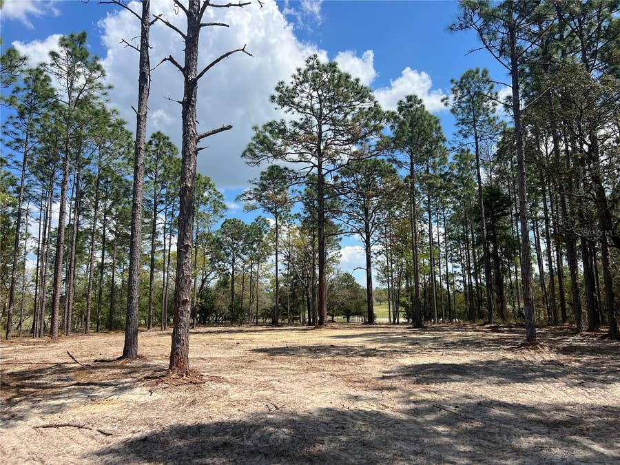 Property photo for 16 SE 136 TERRACE, Dunnellon, FL