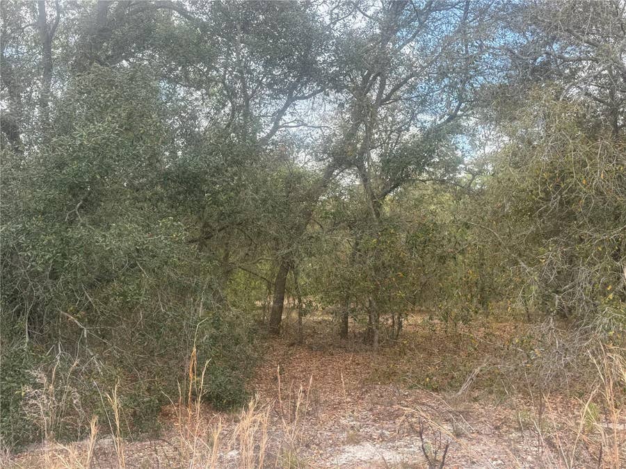 Property photo for tbd SE 131ST TERRACE, Dunnellon, FL