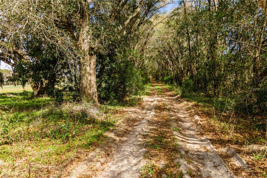 Property photo for TBD SW 298 STREET, Newberry, FL