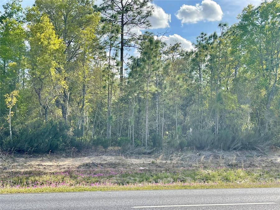 Property photo for TBD NE HIGHWAY 27 ALT, Williston, FL