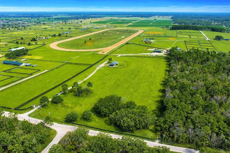 Property photo for 12451 NE 20TH STREET, Williston, FL