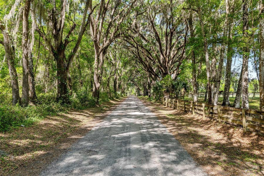 Property photo for 6405 NW 165TH STREET, Reddick, FL