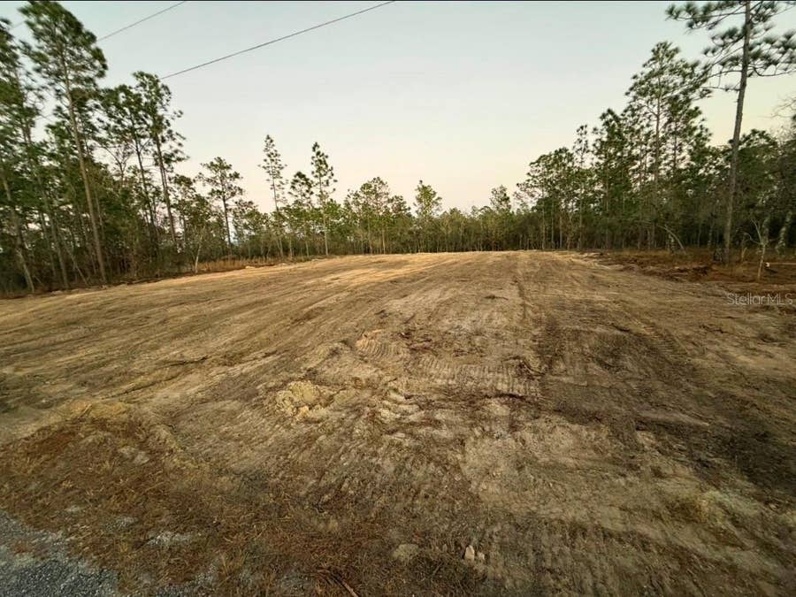 Property photo for LOT 14 SE 129TH COURT, Dunnellon, FL