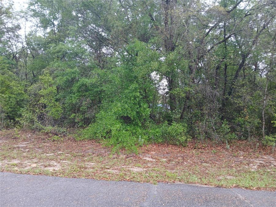 Property photo for 7851 N VINCE DRIVE, Citrus Springs, FL