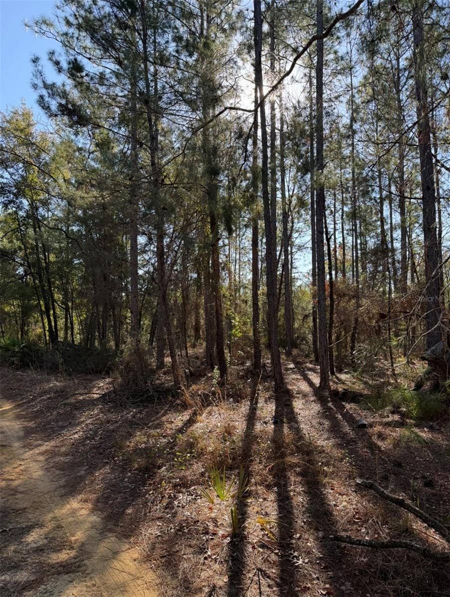 Property photo for TBT 5TH WAY, Interlachen, FL