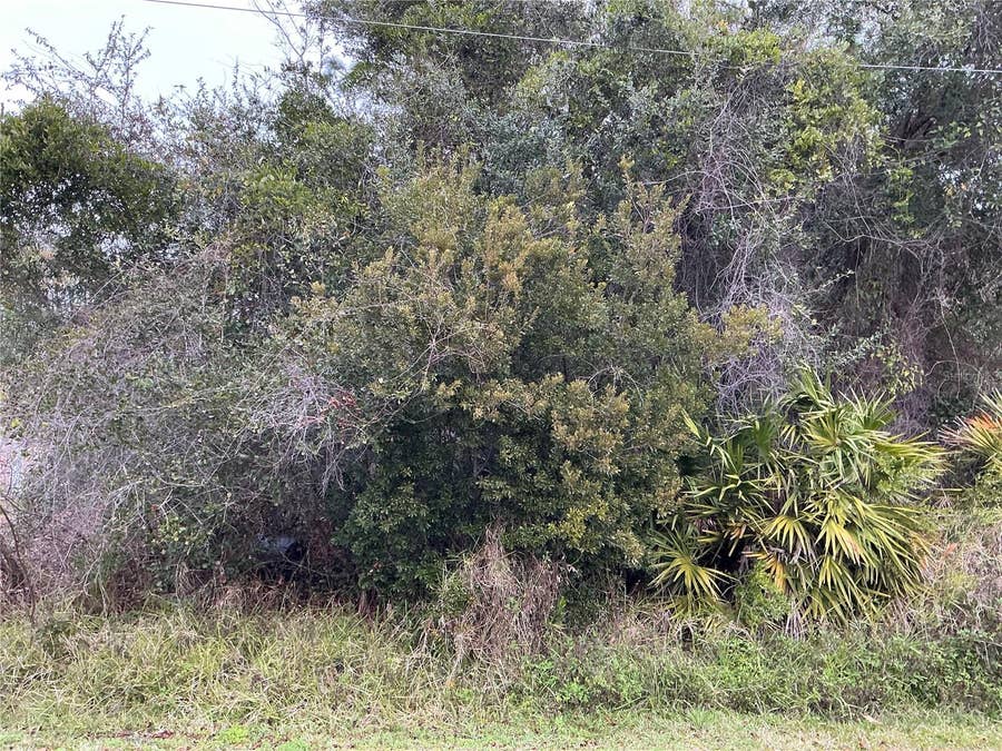 Property photo for 12 FAYY LANE, Palm Coast, FL