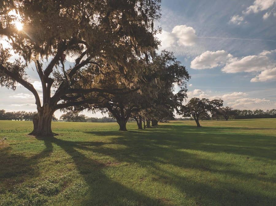 Property photo for TBD NW GAINESVILLE ROAD, Reddick, FL