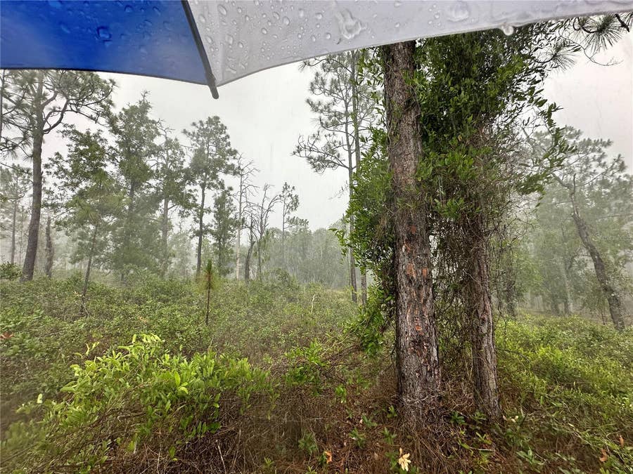 Property photo for TBD SE 130TH COURT, Dunnellon, FL