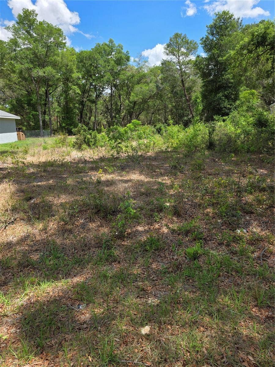 Property photo for 10679 SW 110TH COURT, Dunnellon, FL