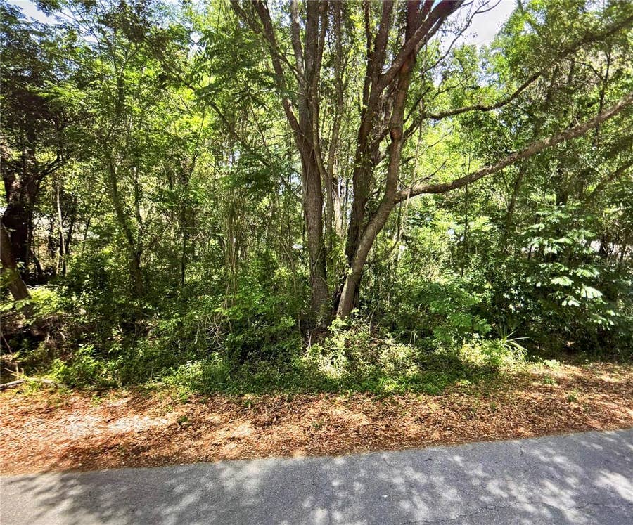 Property photo for 41 PINE TRACE COURSE, Ocala, FL