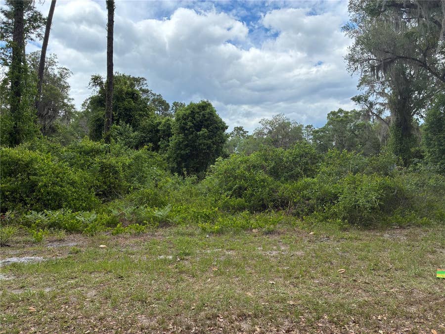 Property photo for 00 SE 87 STREET, Ocklawaha, FL