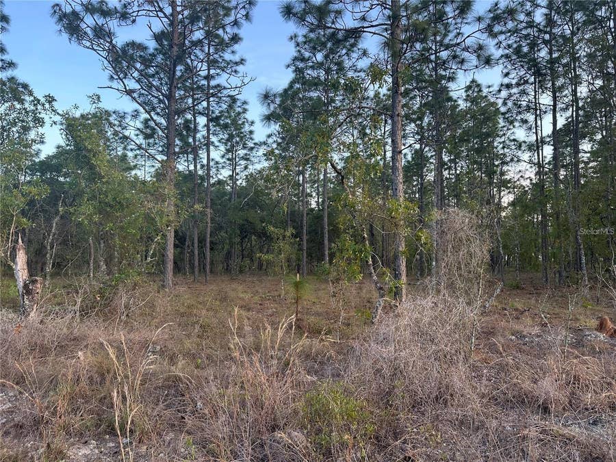 Property photo for LOT 3 NW AMBERJACK AVE., Dunnellon, FL