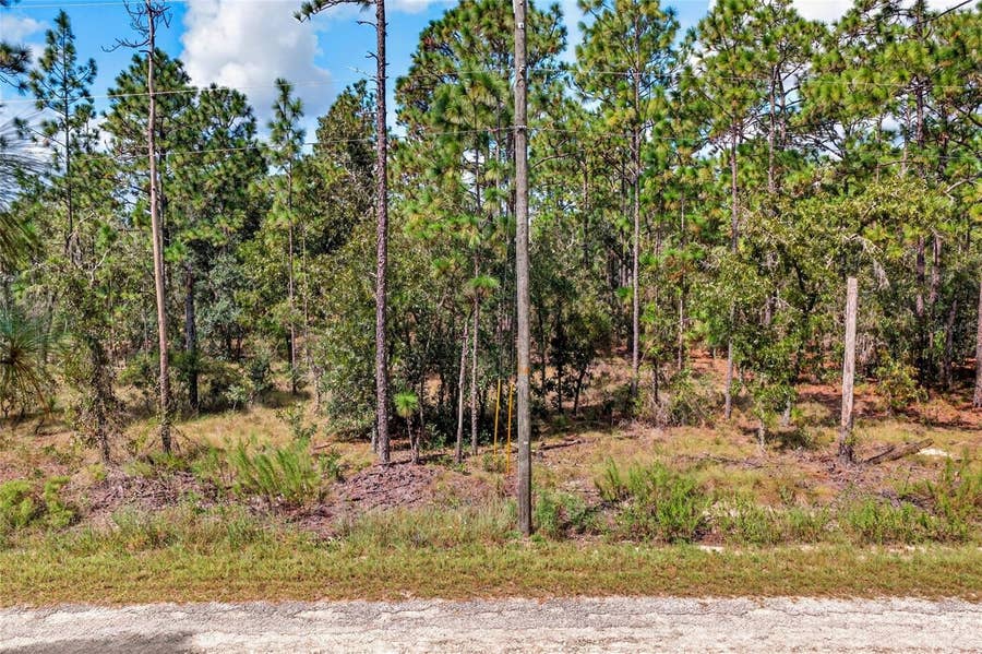 Property photo for 00 SE 130TH CT, Dunnellon, FL