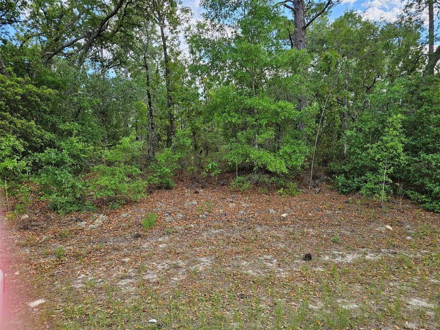 Property photo for 9440 N OLD MILL WAY, Dunnellon, FL