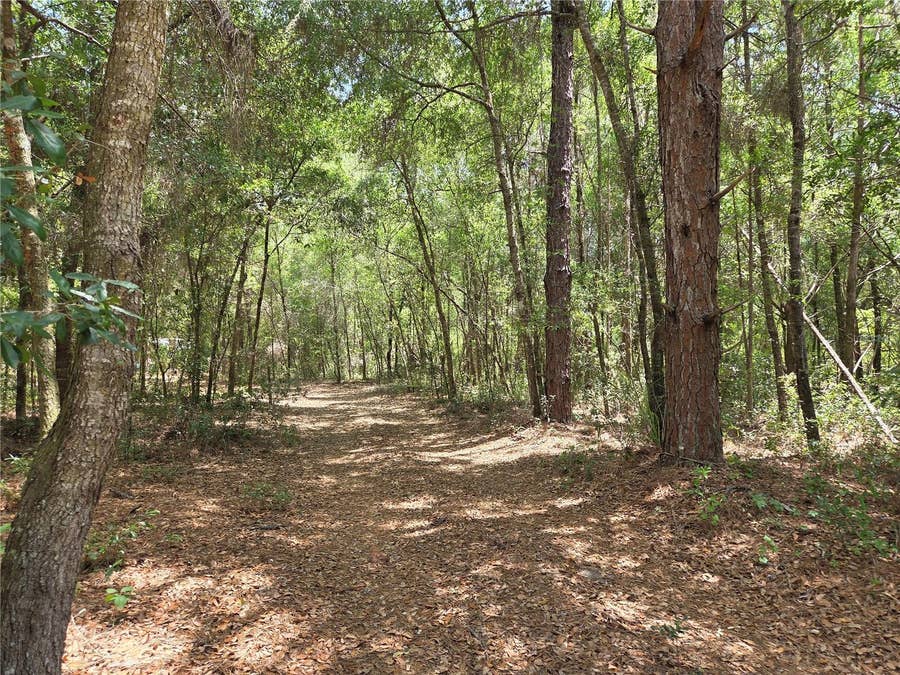 Property photo for 11953 N GLENVIEW AVENUE, Dunnellon, FL