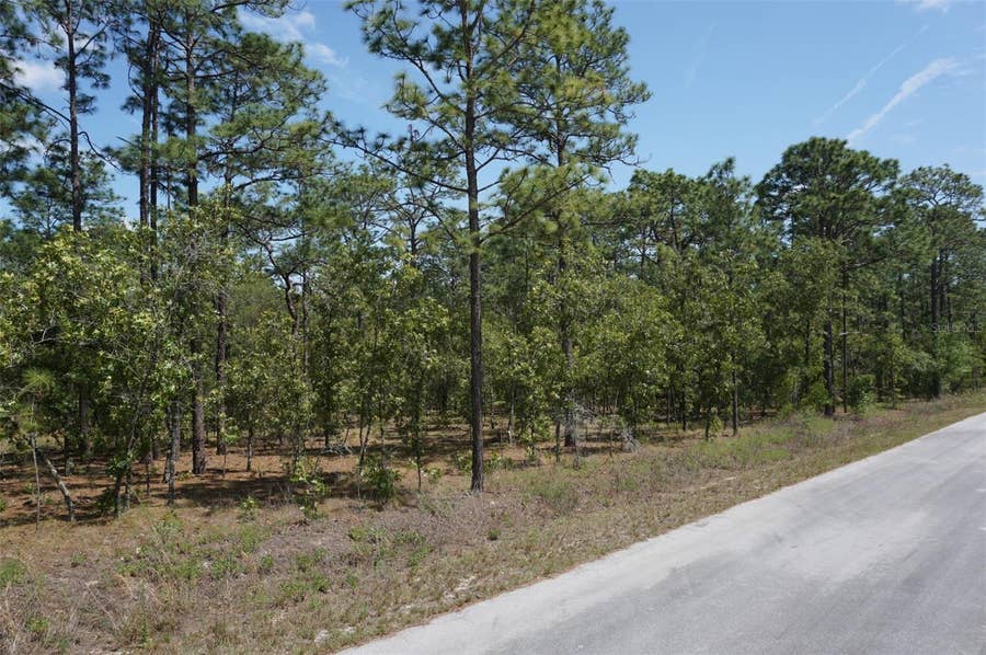 Property photo for TBD NW TREE TOP ROAD, Dunnellon, FL