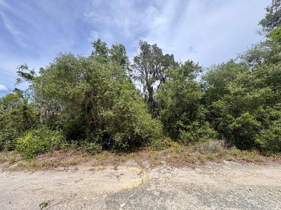 Property photo for 8365 NE 306TH COURT, Salt Springs, FL