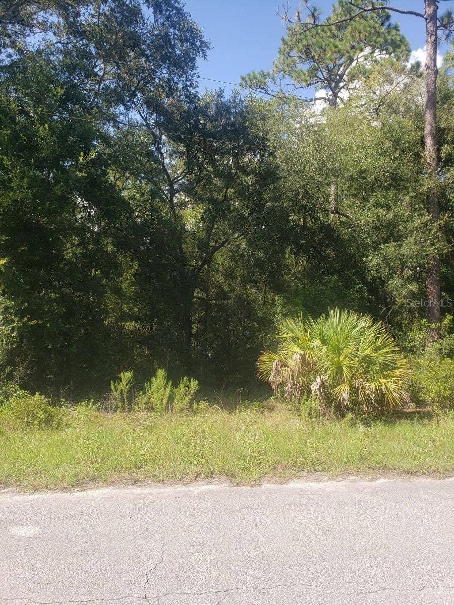 Property photo for 2949 W GRAPEVINE COURT, Dunnellon, FL