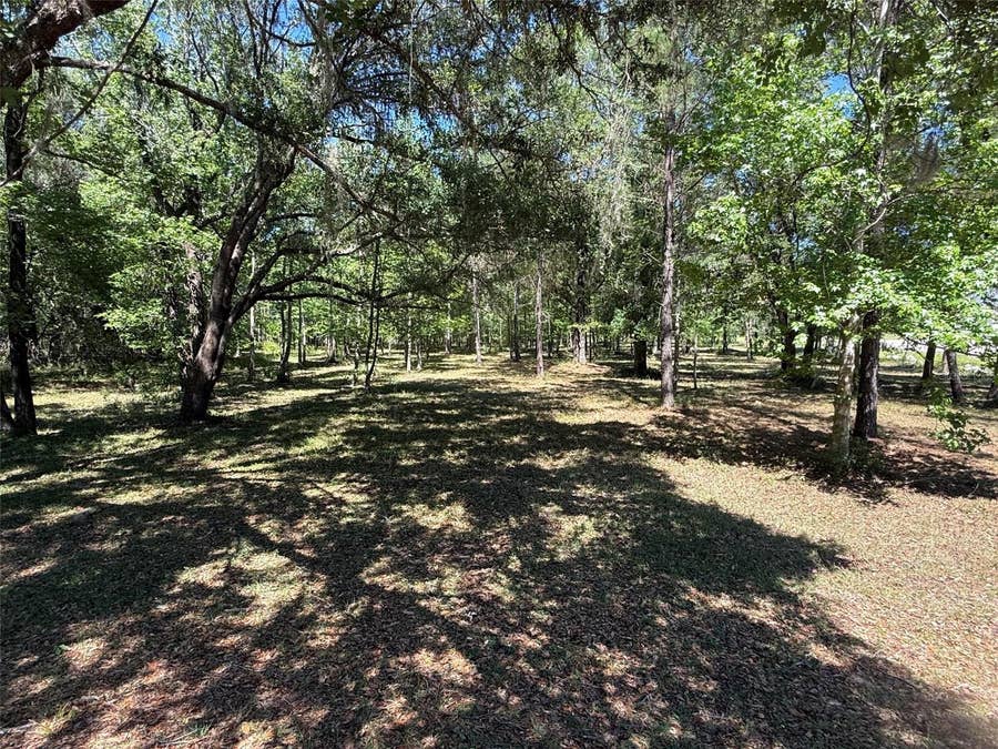 Property photo for 0 NW 145 AVENUE, Williston, FL