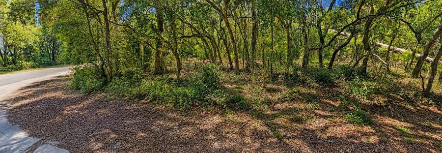 Property photo for 0 MALAUKA RADIAL CRSE, Ocklawaha, FL